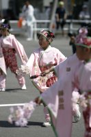 くるっと廻って　蝶乱舞